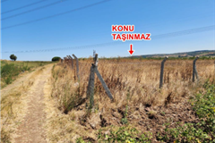 306299 - BURSA KARACABEYDE 33.800 M2 TARLA