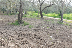 GM3254  BURSA İZNİKTE 413 M2 HİSSELİ TARLA 
