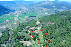 GM3195 MUĞLA MENTEŞE'DE HİSSELİ TARLA  