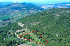 GM3195 MUĞLA MENTEŞE'DE HİSSELİ TARLA  
