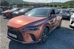 19 - 2023 Lexus RX 