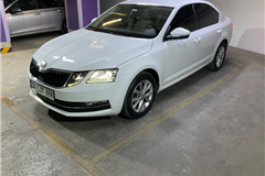 76 - 2019 Skoda Octavia 1.6 TDI Style 