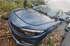 45 - 2024 Fiat Egea 1.6 Multijet Easy 