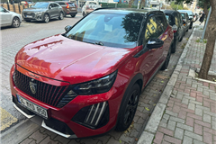 30 - 2025 Peugeot 2008 1.2 PureTech GT 