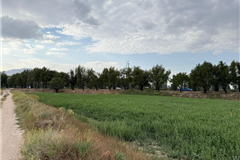 GM1709 NİĞDE MERKEZ SELÇUK MAHALLESİ’NDE KONUT İMARLI SATILIK ARSA