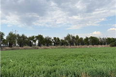 GM1709 NİĞDE MERKEZ SELÇUK MAHALLESİ’NDE KONUT İMARLI SATILIK ARSA