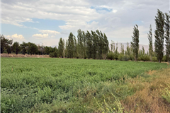 GM1709 NİĞDE MERKEZ SELÇUK MAHALLESİ’NDE KONUT İMARLI SATILIK ARSA