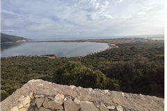 GM 3121 ANTALYA DEMRE’DE DENİZ MANZARALI HİSSELİ SATILIK ZEYTİNLİK