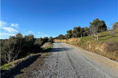 AYDIN İNCİRLİOVA'DA 20.200m² ZEYTİNLİK SATILIK TARLA