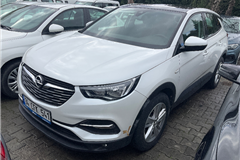 83 - 2019 Opel Crossland X X