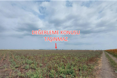 101651615 ADANA CEYHAN BÜYÜKMANGIT'TA SATILIK SULU TARIM ARAZİSİ