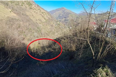 303754 TRABZON AKÇAABAT’TA SATILIK FINDIKLIK