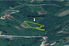 303754 TRABZON AKÇAABAT’TA SATILIK FINDIKLIK