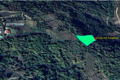 YALOVA ALTINOVA SERMAYECİK KÖYÜ'NDE 2.123 M² SATILIK FINDIKLIK