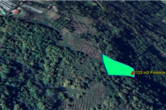 YALOVA ALTINOVA SERMAYECİK KÖYÜ'NDE 2.123 M² SATILIK FINDIKLIK