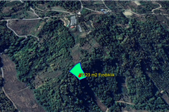 YALOVA ALTINOVA SERMAYECİK KÖYÜ'NDE 2.123 M² SATILIK FINDIKLIK