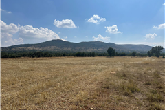DENİZLİ BEKİLLİ SIRIKLI MAHALLESİ’NDE 1.408M² SATILIK TARLA