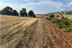 UŞAK KARAHALLI BEKİ MAHALLESİ’NDE 3.805M² SATILIK TARLA