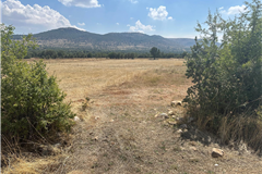 DENİZLİ BEKİLLİ SIRIKLI MAHALLESİ’NDE 1.408M² SATILIK TARLA