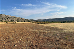 UŞAK KARAHALLI BEKİ MAHALLESİ’NDE 3.805M² SATILIK TARLA