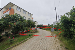 GM3582-Edilli Köyü-Tarla / Fındık Bahçesi-11.395 m²