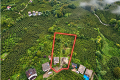306243 ORDU ÇAMAŞ’TA SATILIK ARSA