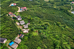 306243 ORDU ÇAMAŞ’TA SATILIK ARSA