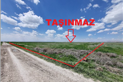 GM 306747 Konya Karatay Zincirli’de Kadastro Yoluna Cepheli 42.049,59 m² Satılık Tarla