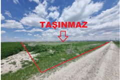 GM 306747 Konya Karatay Zincirli’de Kadastro Yoluna Cepheli 42.049,59 m² Satılık Tarla