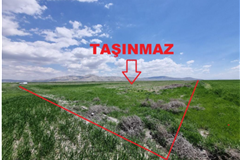 GM 306747 Konya Karatay Zincirli’de Kadastro Yoluna Cepheli 42.049,59 m² Satılık Tarla