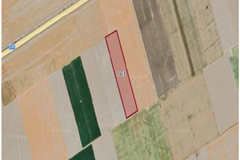 GM 306747 Konya Karatay Zincirli’de Kadastro Yoluna Cepheli 42.049,59 m² Satılık Tarla