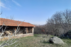 MANİSA SELENDİ TAVAK MAHALLESİ’NDE 2.552,42 M² ARSA ÜZERİNDE MÜSTAKİL EV VE AHIR